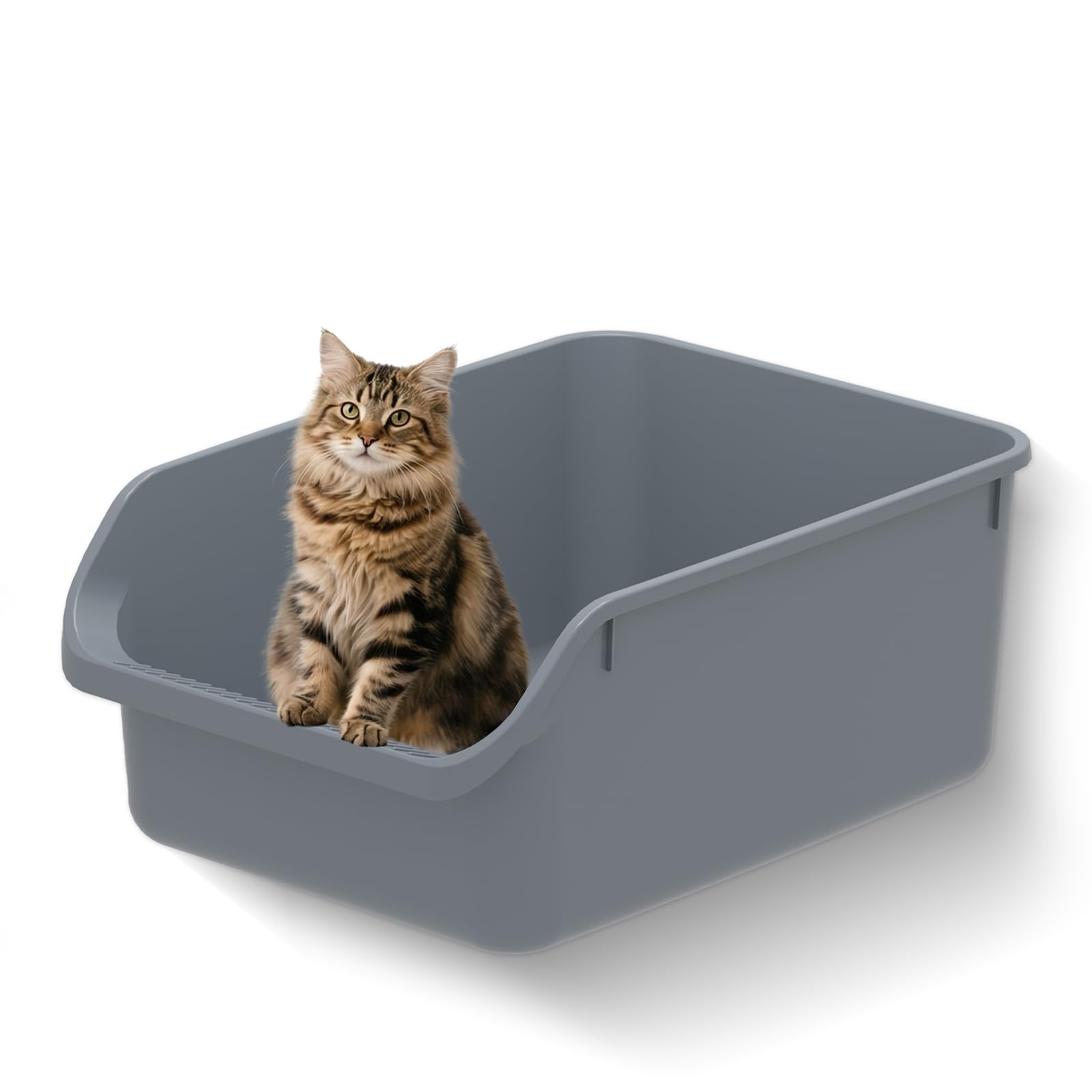 TAILRYTH litière grand format avec ouverture basse, idéale pour chatons et seniors