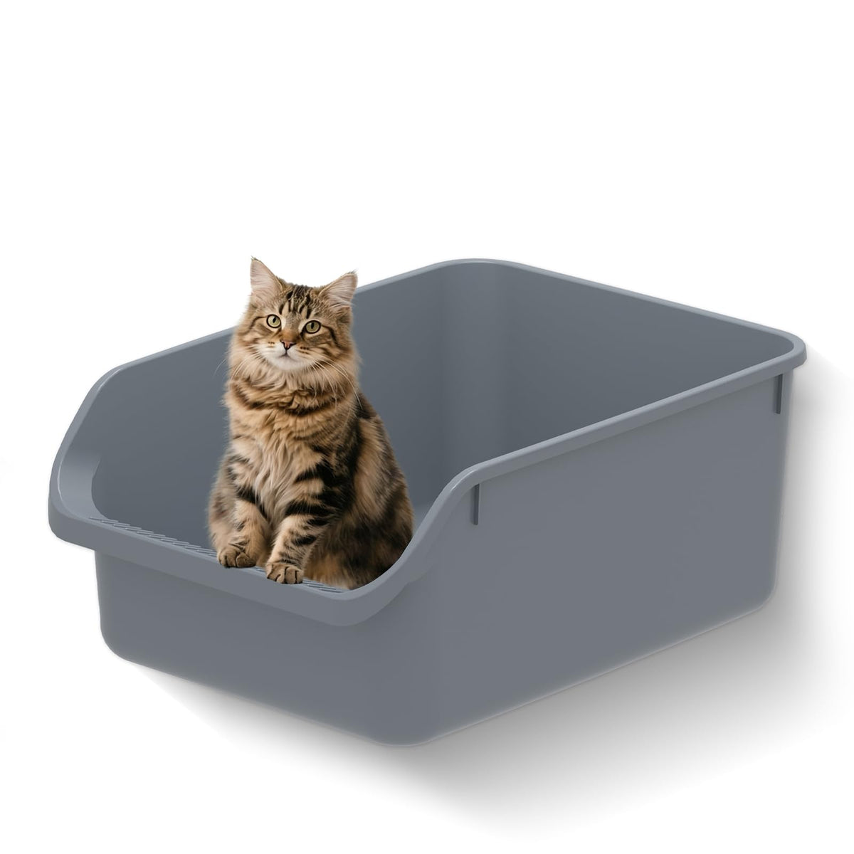TAILRYTH litière grand format avec ouverture basse, idéale pour chatons et seniors