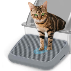 TAILRYTH rampe elevee litiere chat: facilite l'acces quotidien pour chatons et seniors