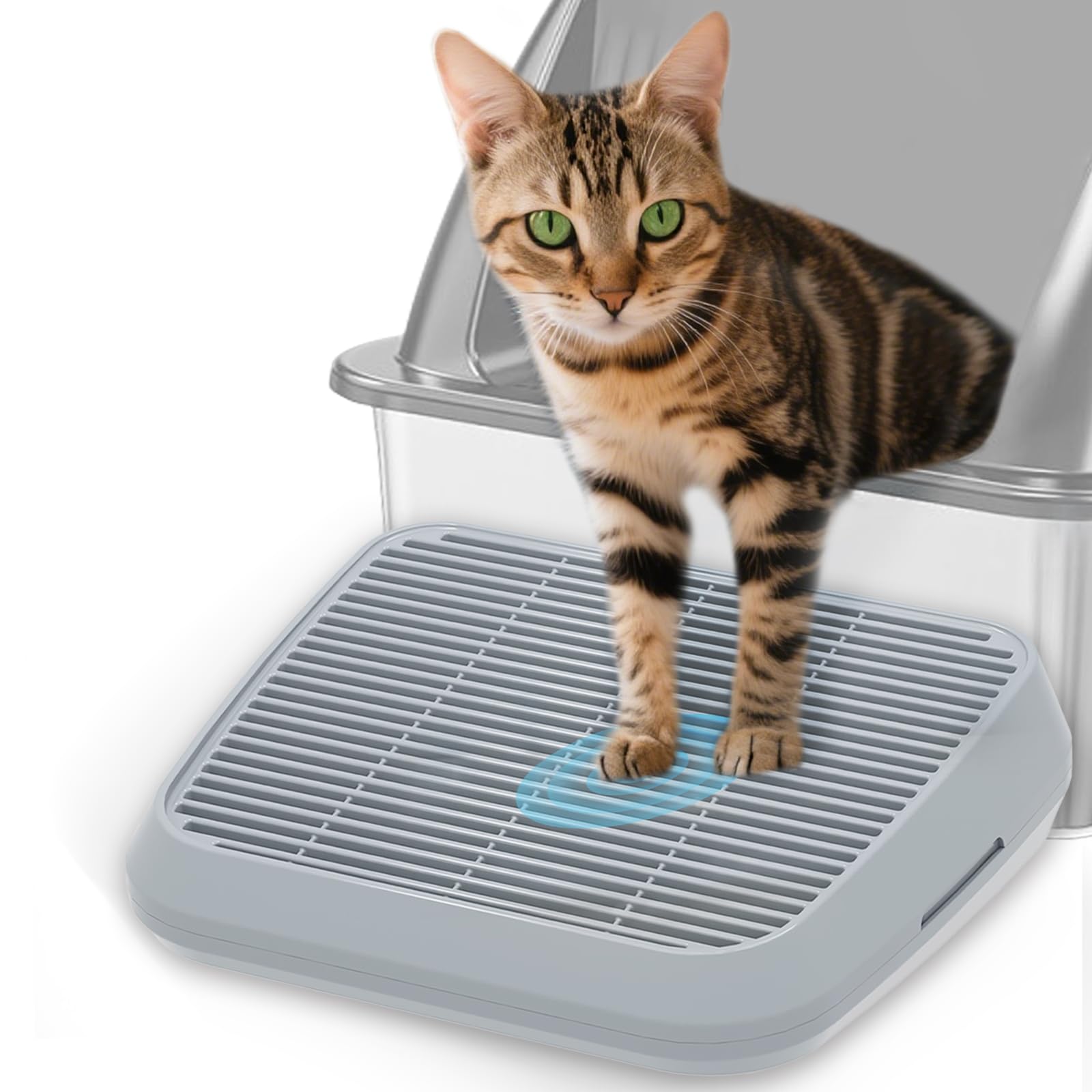 TAILRYTH rampe elevée pour chatons, accès facile à la litière et sécurité.