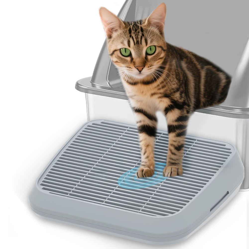 TAILRYTH rampe elevée pour chatons, accès facile à la litière et sécurité.