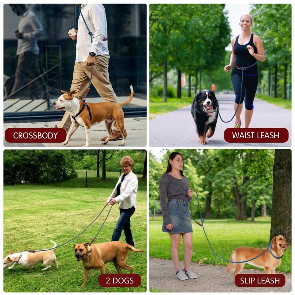 Laisse polyvalente Tails & Tales pour usage quotidien avec deux chiens.