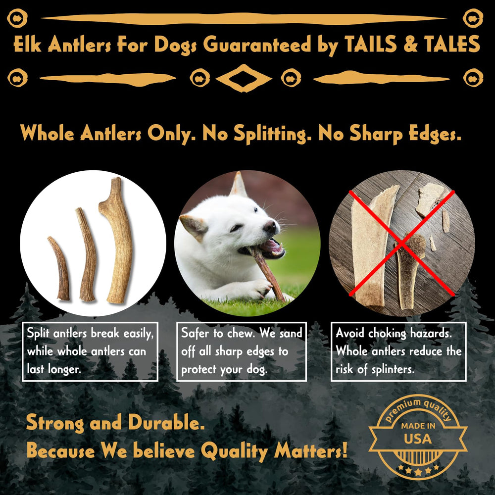 Tails & Tales – Soutien dentaire naturel grâce à la corne d’élan