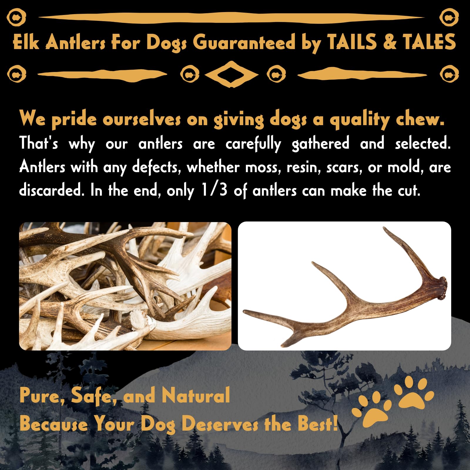 Tails & Tales – Utilisation quotidienne pour chiens actifs