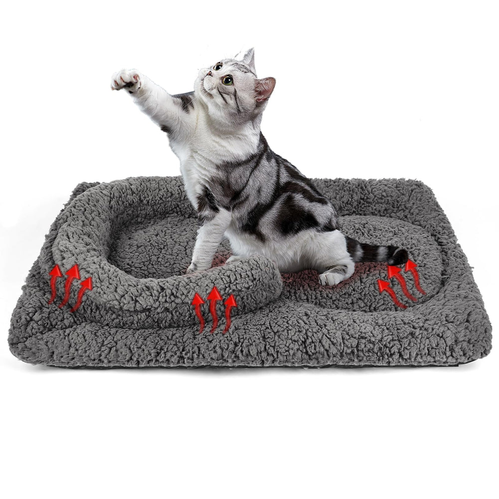 TailTastic coussin chauffant chat, vue d'ensemble, chaleur naturelle sans électricité pour chats d'intérieur.