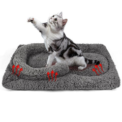 TailTastic coussin chauffant chat, vue d'ensemble, chaleur naturelle sans électricité pour chats d'intérieur.