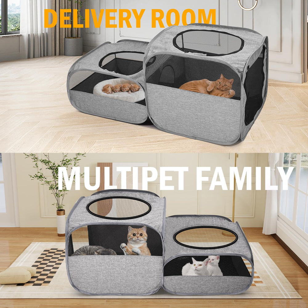 Dimensions généreuses TailTastic pour chats, lapins et petits chiens.