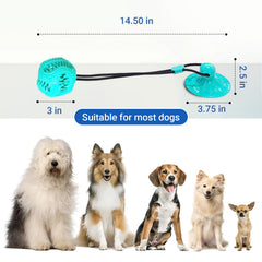 Tailwag Aqua: balle puzzle distribuant des friandises pour stimulation mentale