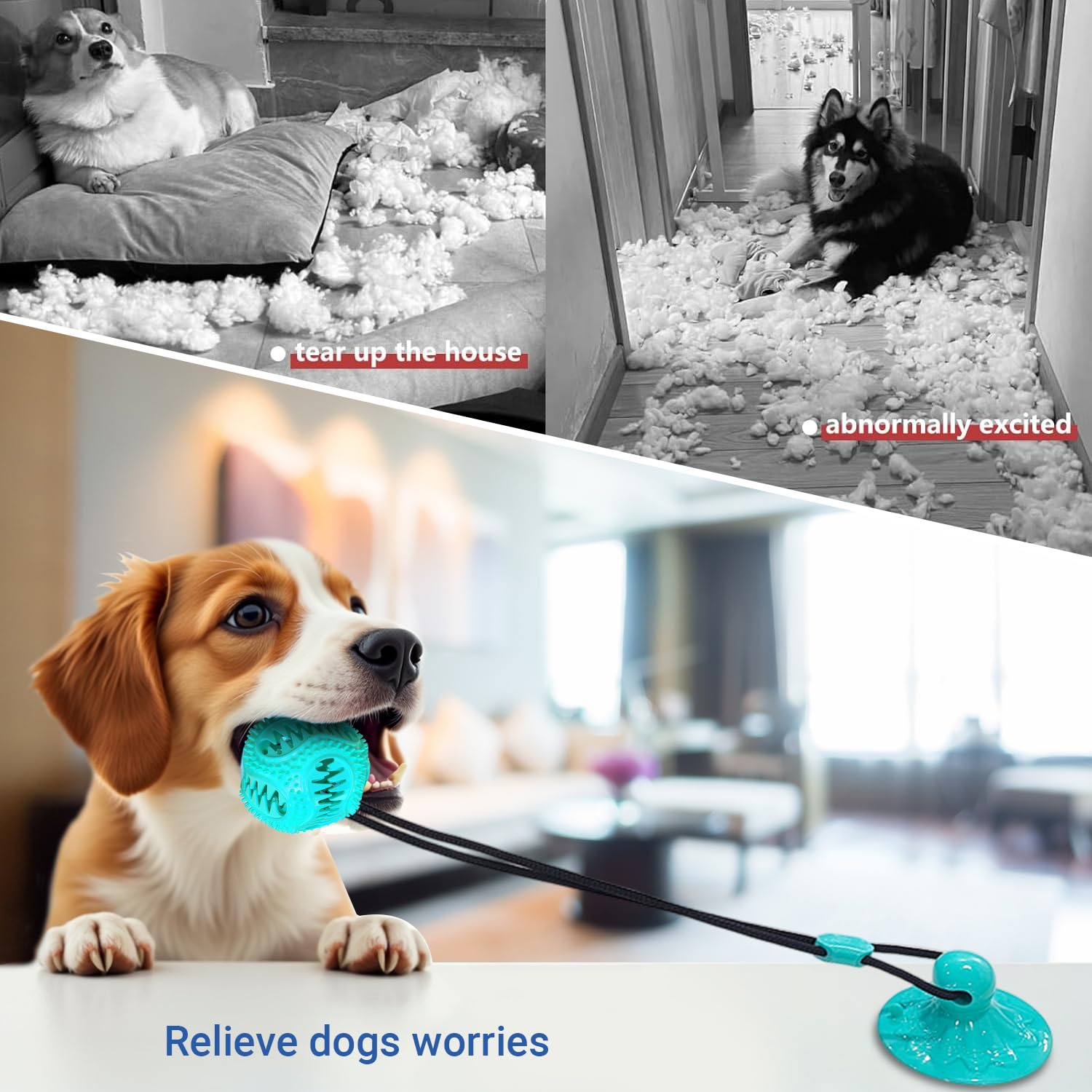 Tailwag Aqua: jouet de dentition en TPR résistant aux morsures