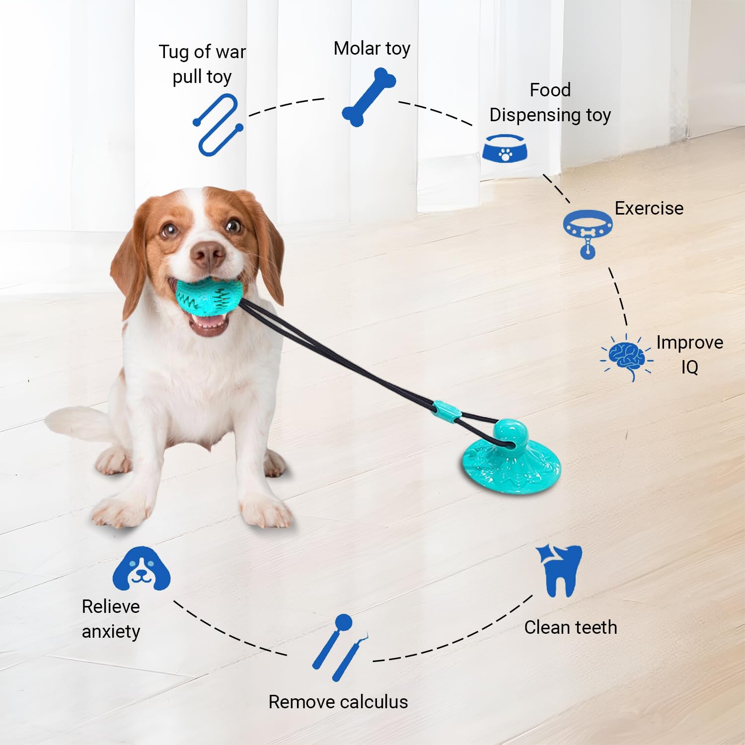 Tailwag Aqua: jouet de traction pour des exercices stimulants et ludiques