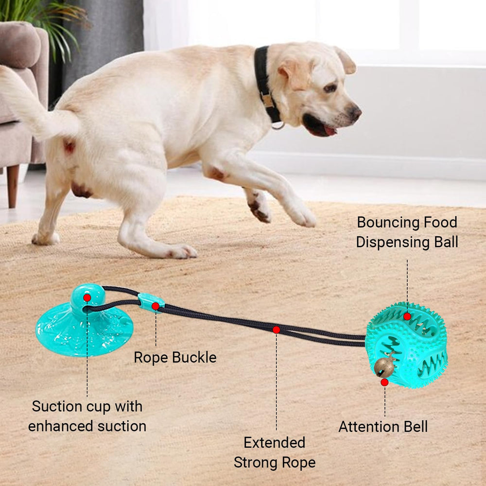 Tailwag Aqua: utilisation intérieure idéale pour occuper les chiens