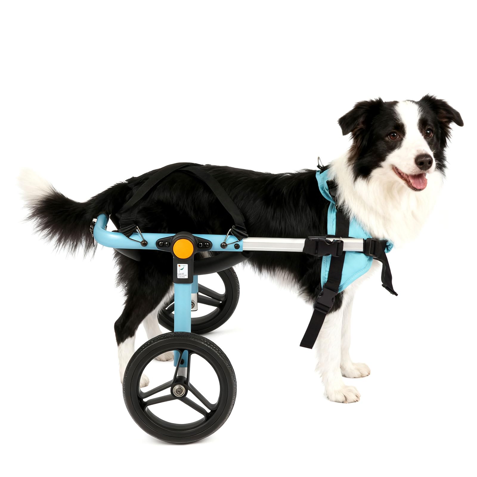 TailWaggers chariot-chien-roue-tout-terrain facilite la mobilité sur tous terrains.