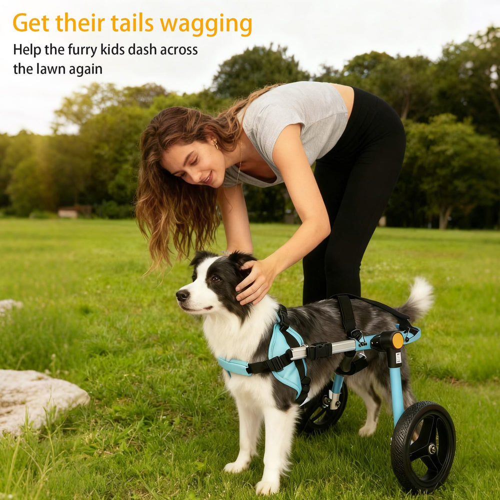 TailWaggers sangle-abdominal soutient l'abdomen lors des balades.