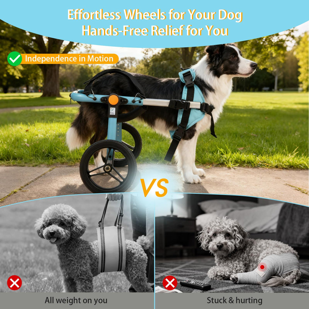 TailWaggers systeme-tri-ajustable ajuste rapidement hauteur et largeur pour le confort.