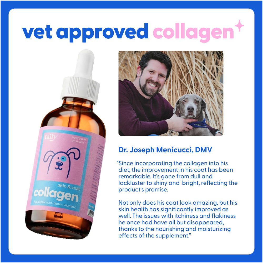 Taily collagène liquide pour chat, pelage brillant et peau lumineuse.