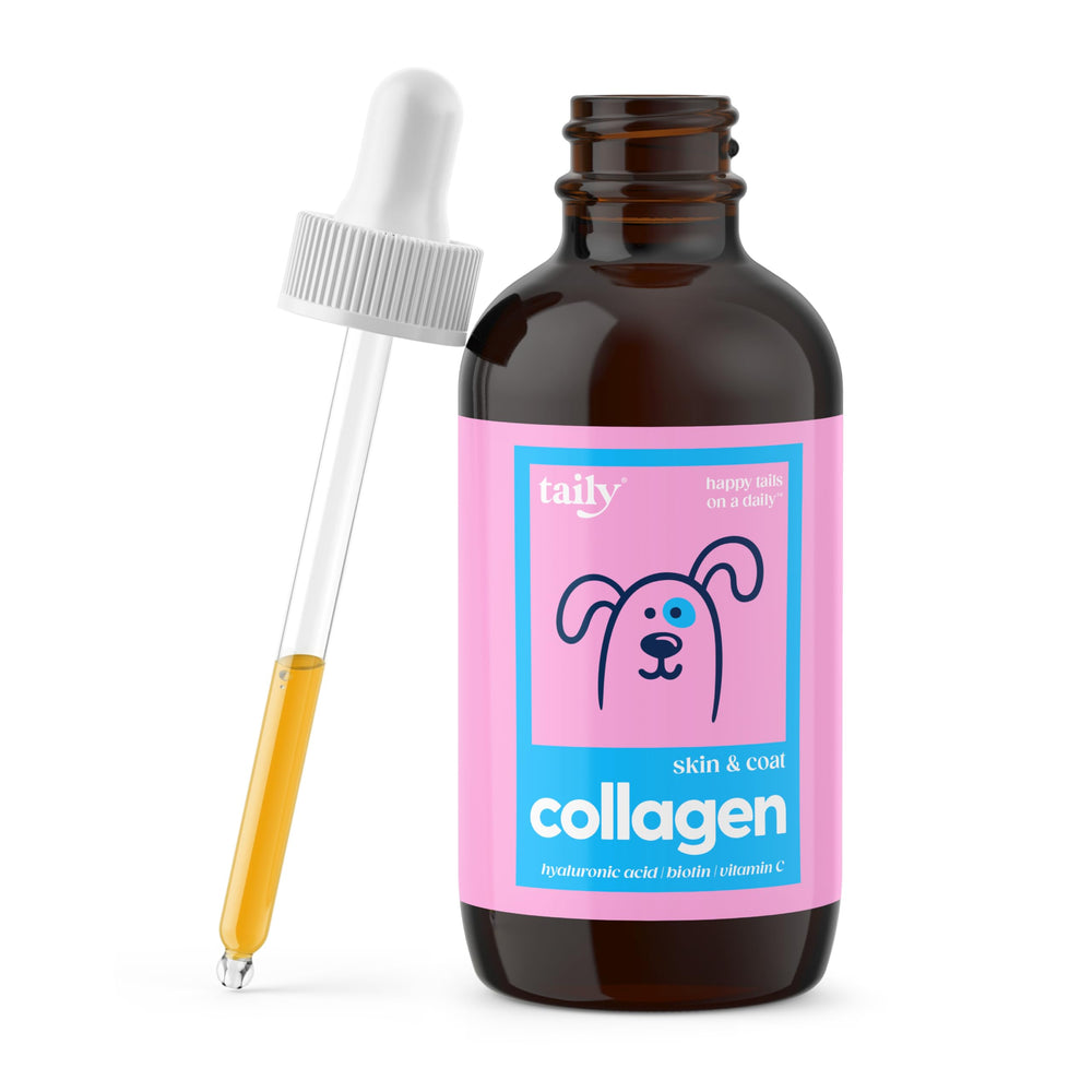 Taily collagène liquide pour chien, poil brillant et sain.