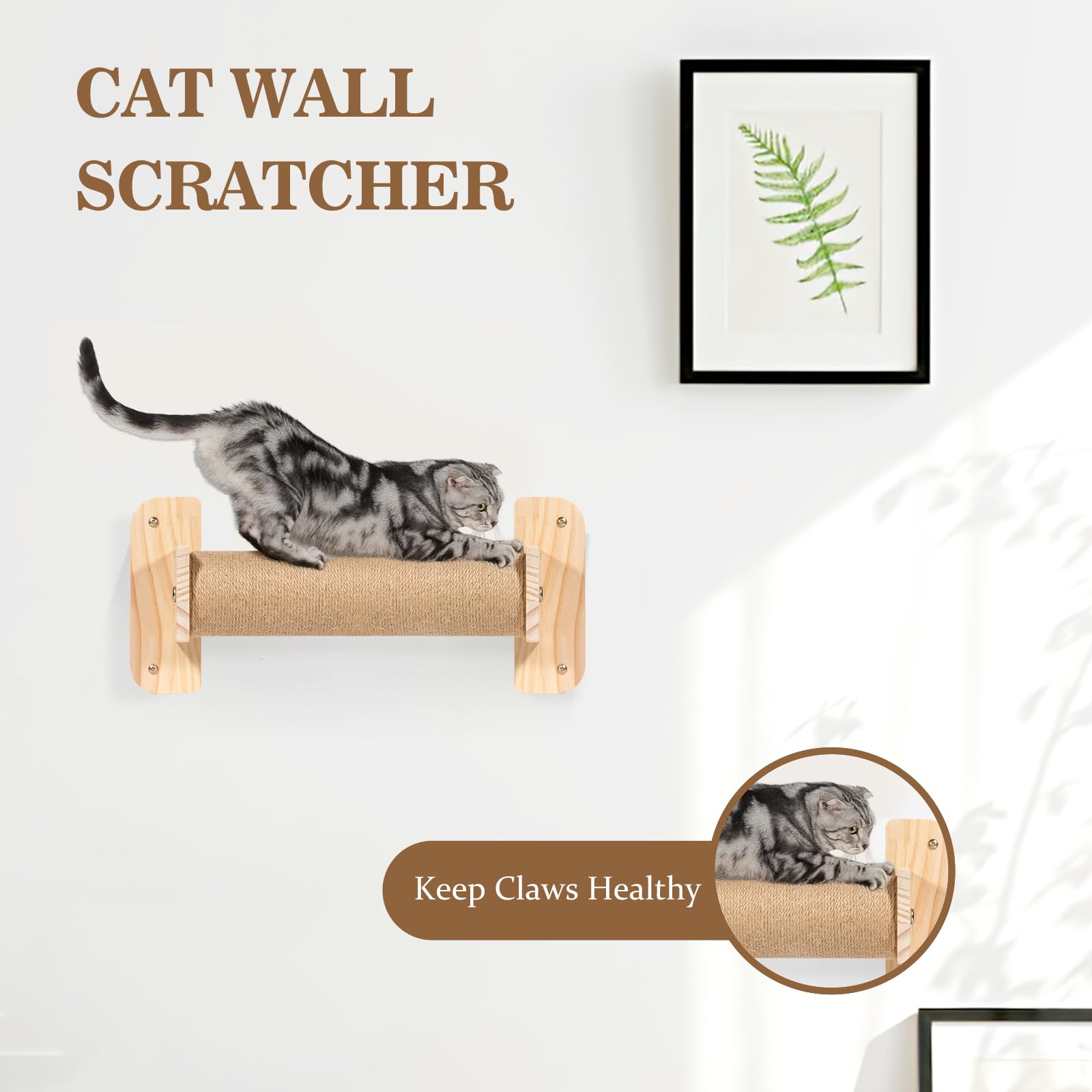 TAKEKIT passerelle murale pour chat, observe et se détendre en hauteur.