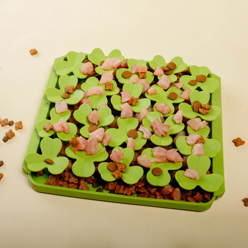 Tall Tails Clover Foraging Mat collection-pack, extension facile avec d’autres tapis Clover.