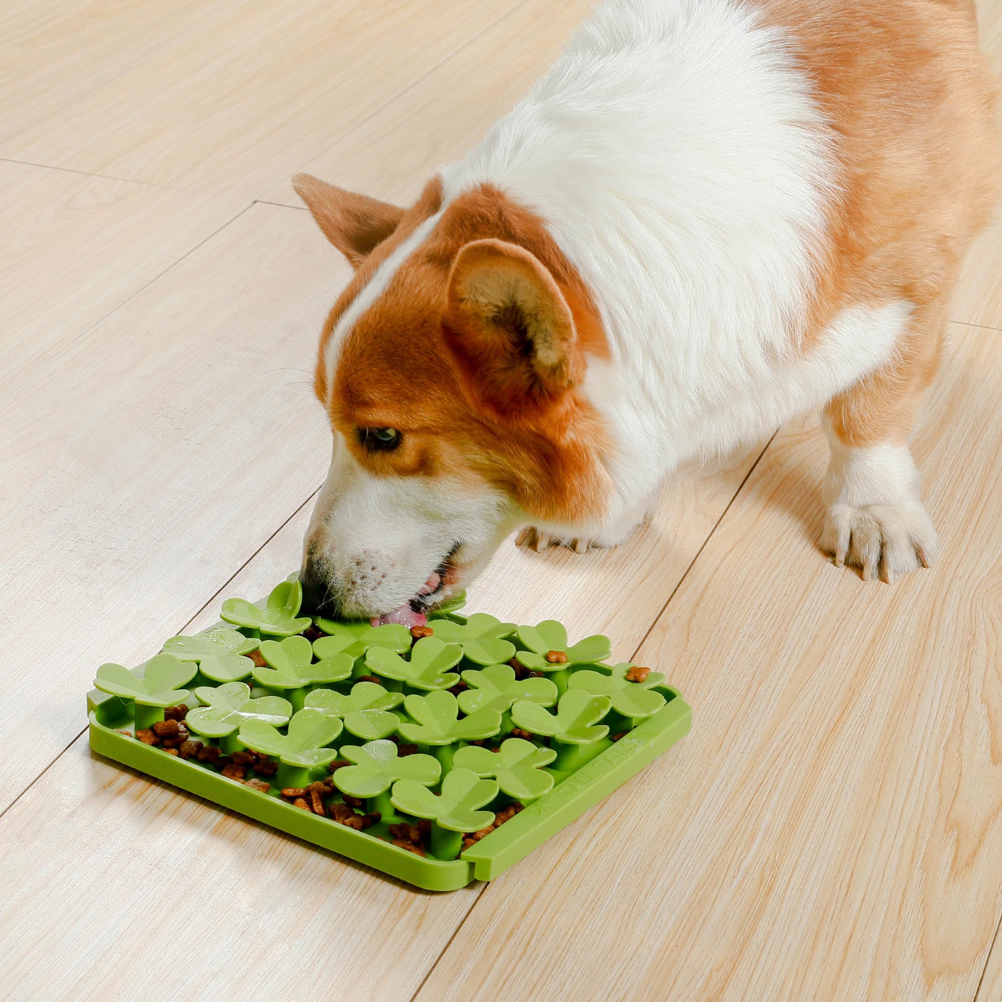 Tall Tails Clover Foraging Mat friandises, solution flexible pour l’alimentation.