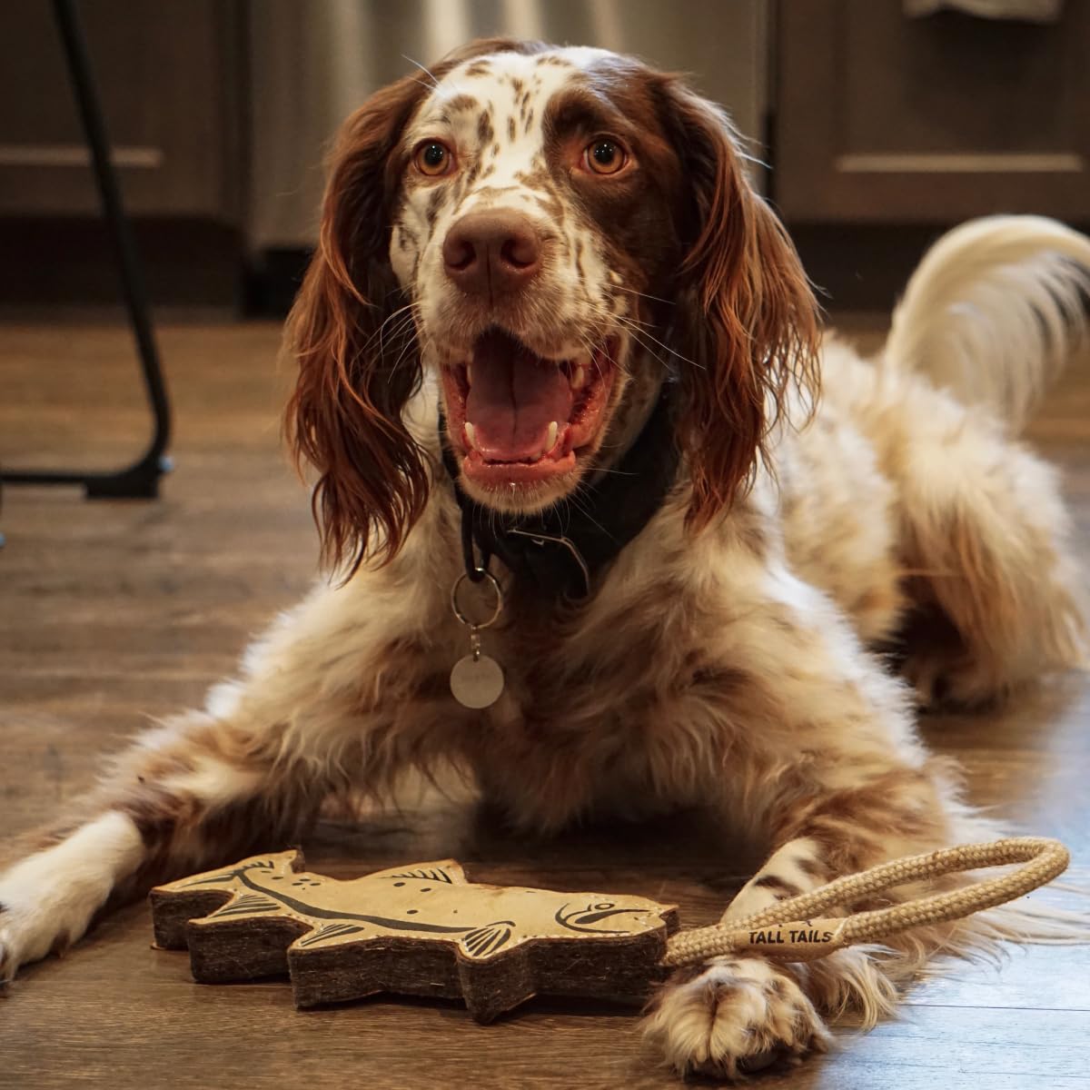 Jouet pour chien Tall Tails, truite en cuir durable pour jeux dynamiques.