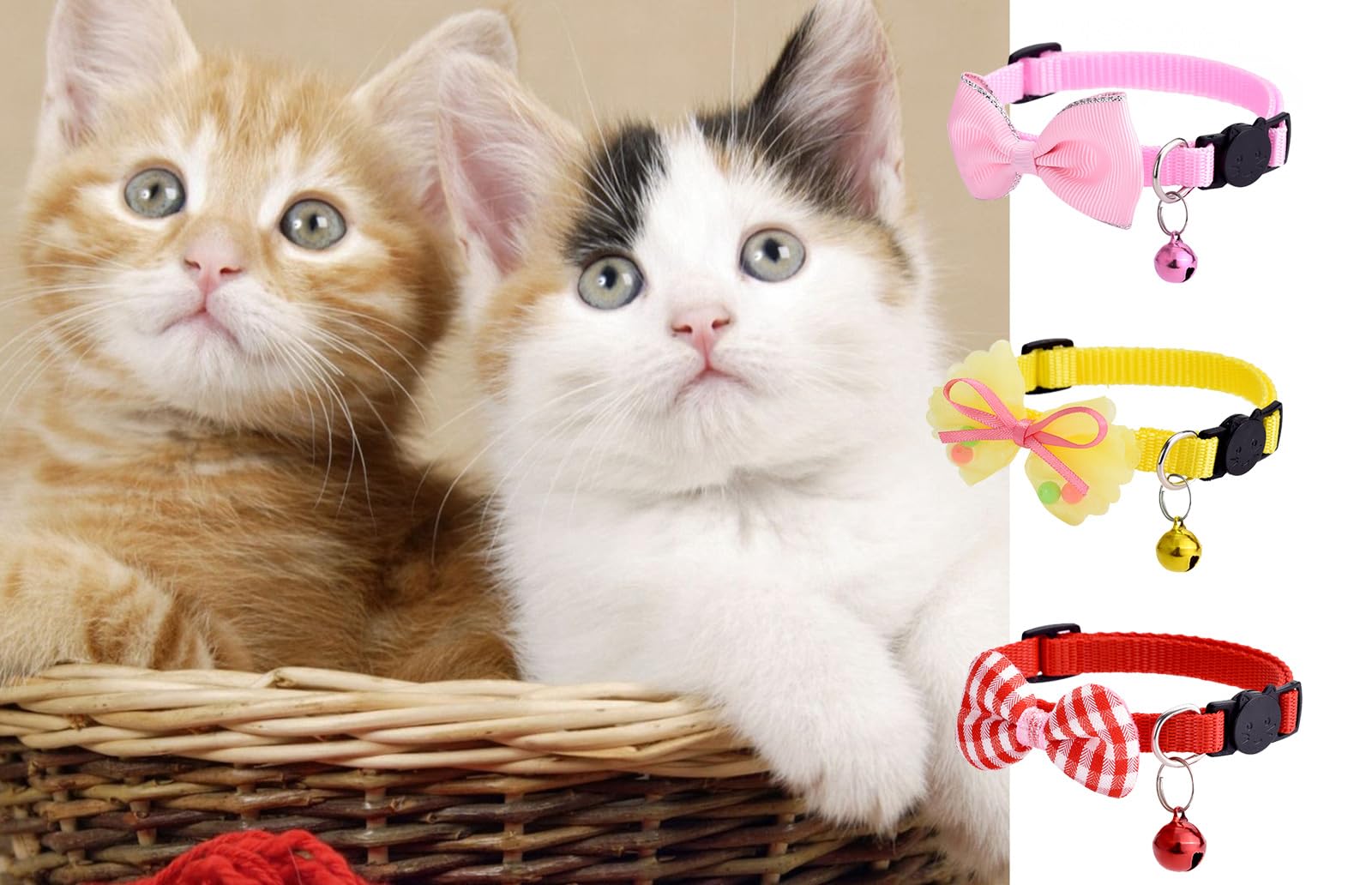 TAMHOO collier chat palettes couleurs: palette variée pour assortir la personnalité féline.