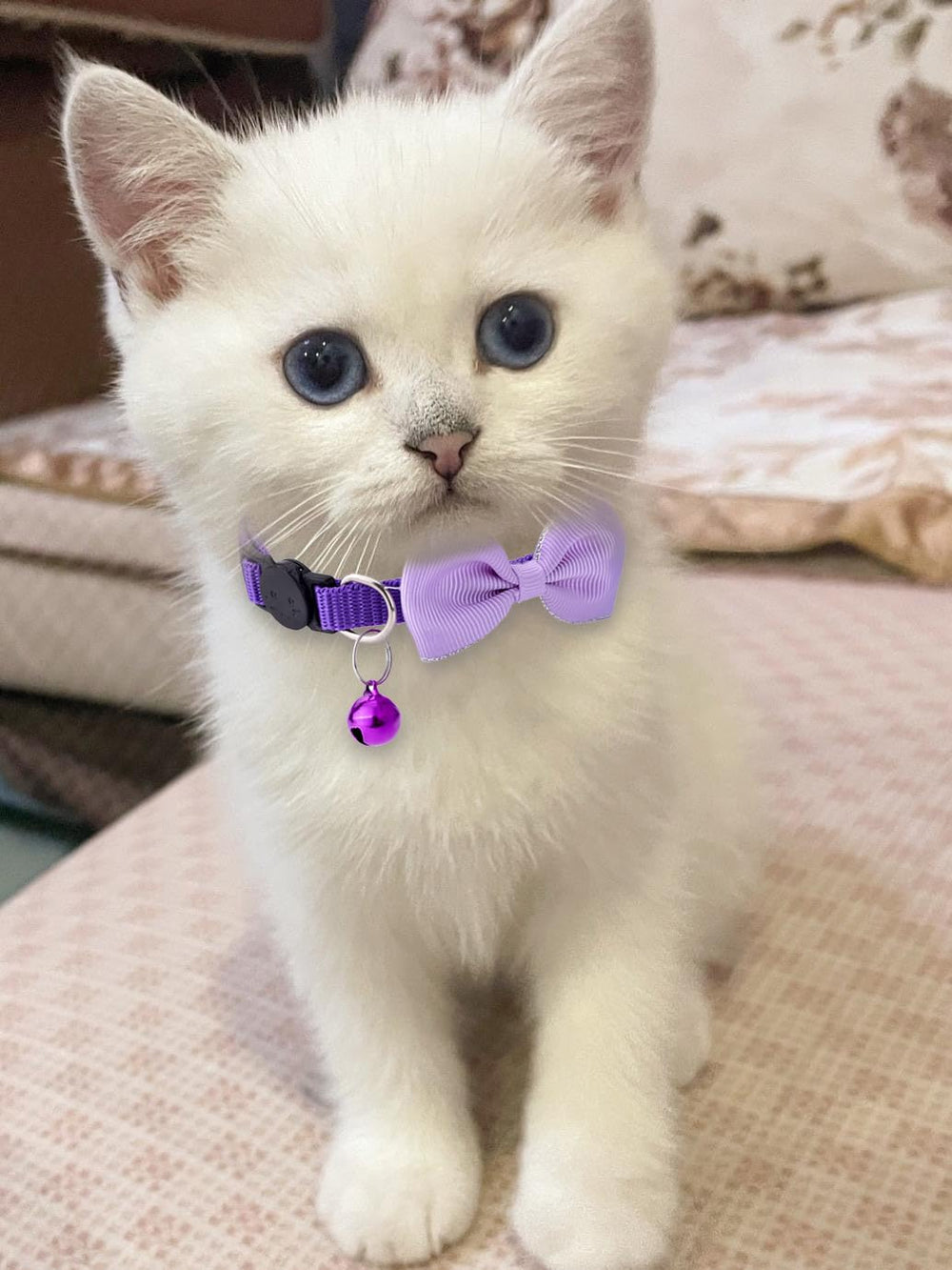 TAMHOO collier chat rose ajustable: collier rose ajustable pour petit à moyen chat.