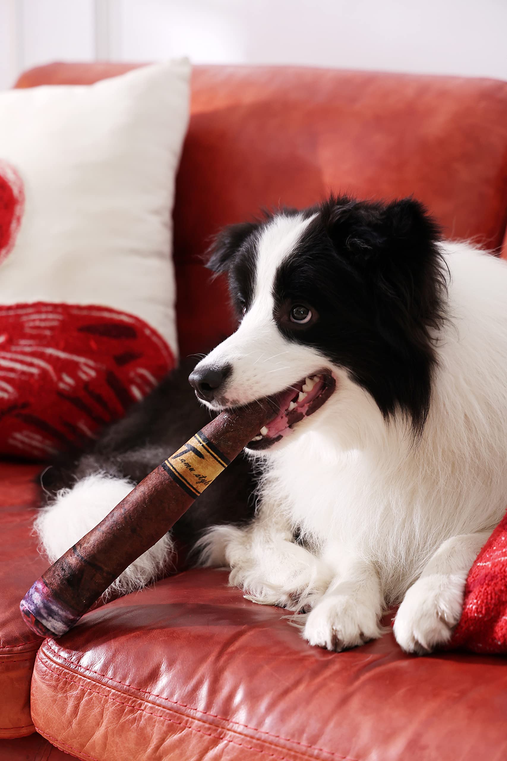 Tailles adaptées: petits, moyens et grands chiens aiment ce jouet.
