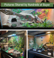 TankMatDecor plante suspendue: touche naturelle et couleur vive dans l habitat.