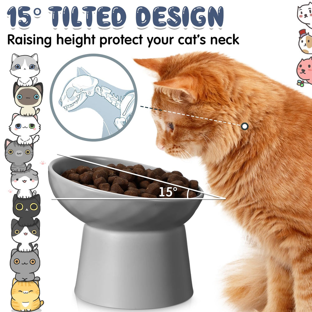 Tanlade bol chat élève inclinaison 15 degrés pour posture adaptée.