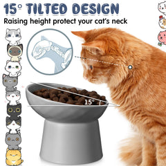 Tanlade bol chat élève inclinaison 15 degrés pour posture adaptée.