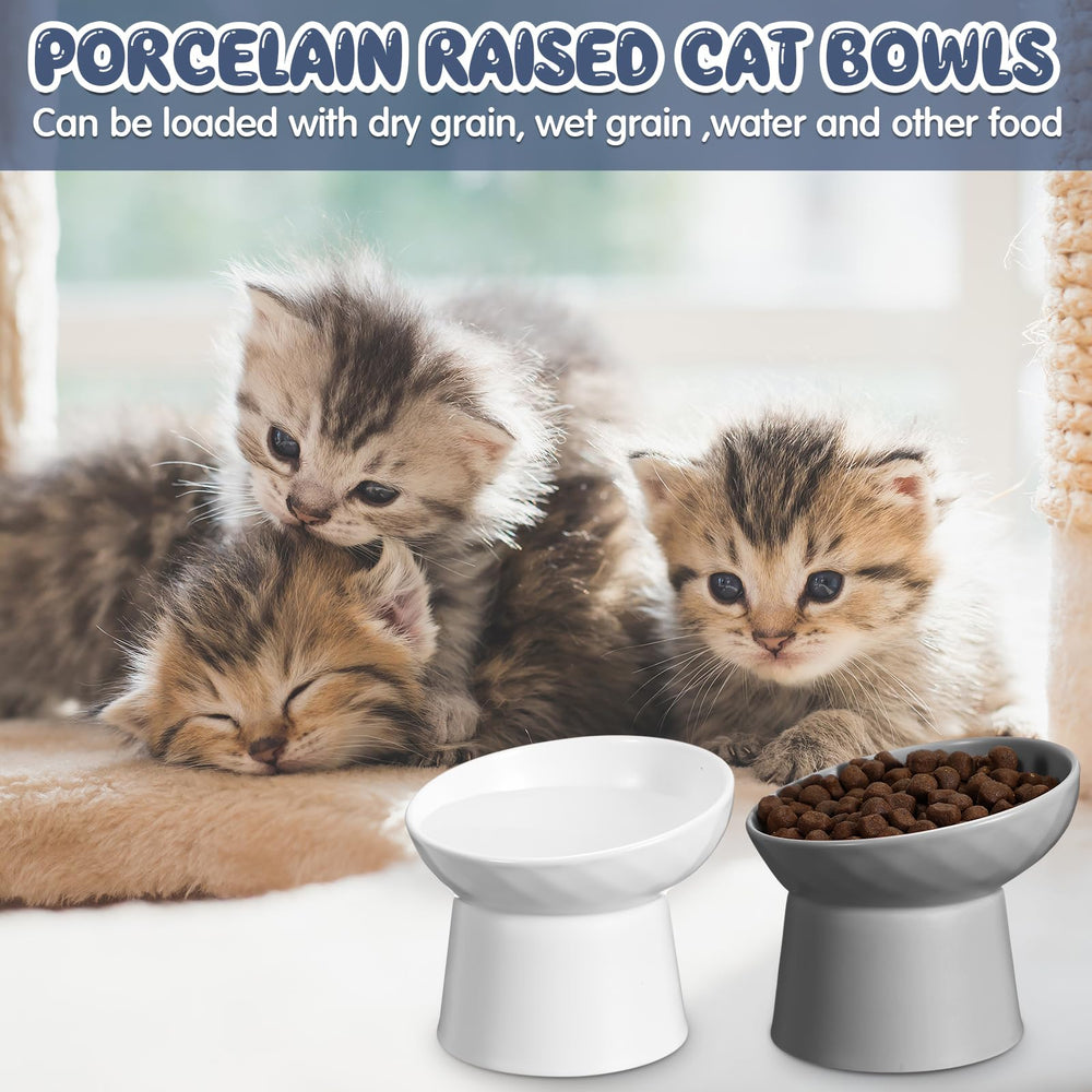 Tanlade bol chat lave-vaisselle et micro-ondes compatibles pour entretien.
