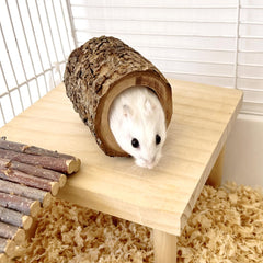 Tanoma cachette hamster bois pomme : cachette sûre favorisant le repos et l'abri.