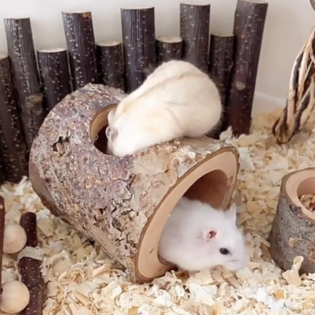 Tanoma Habitat – fabrication artisanale en bois pomme, durable et sûr.
