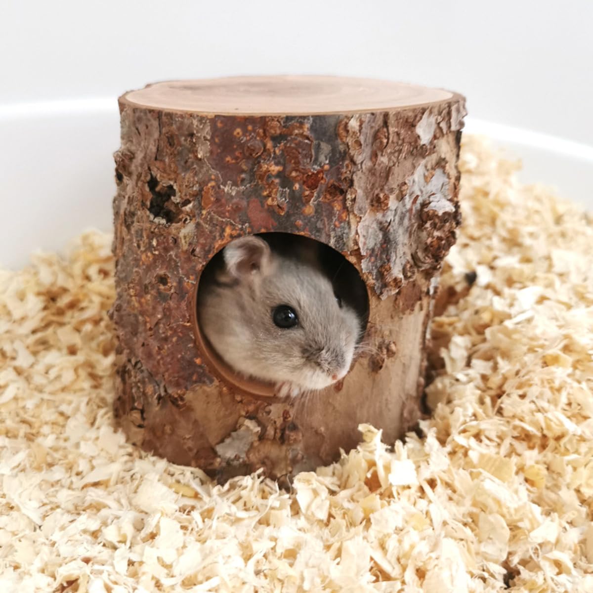 Tanoma Habitat – maison-cache en bois pomme: refuge naturel et cachette sécurisée.