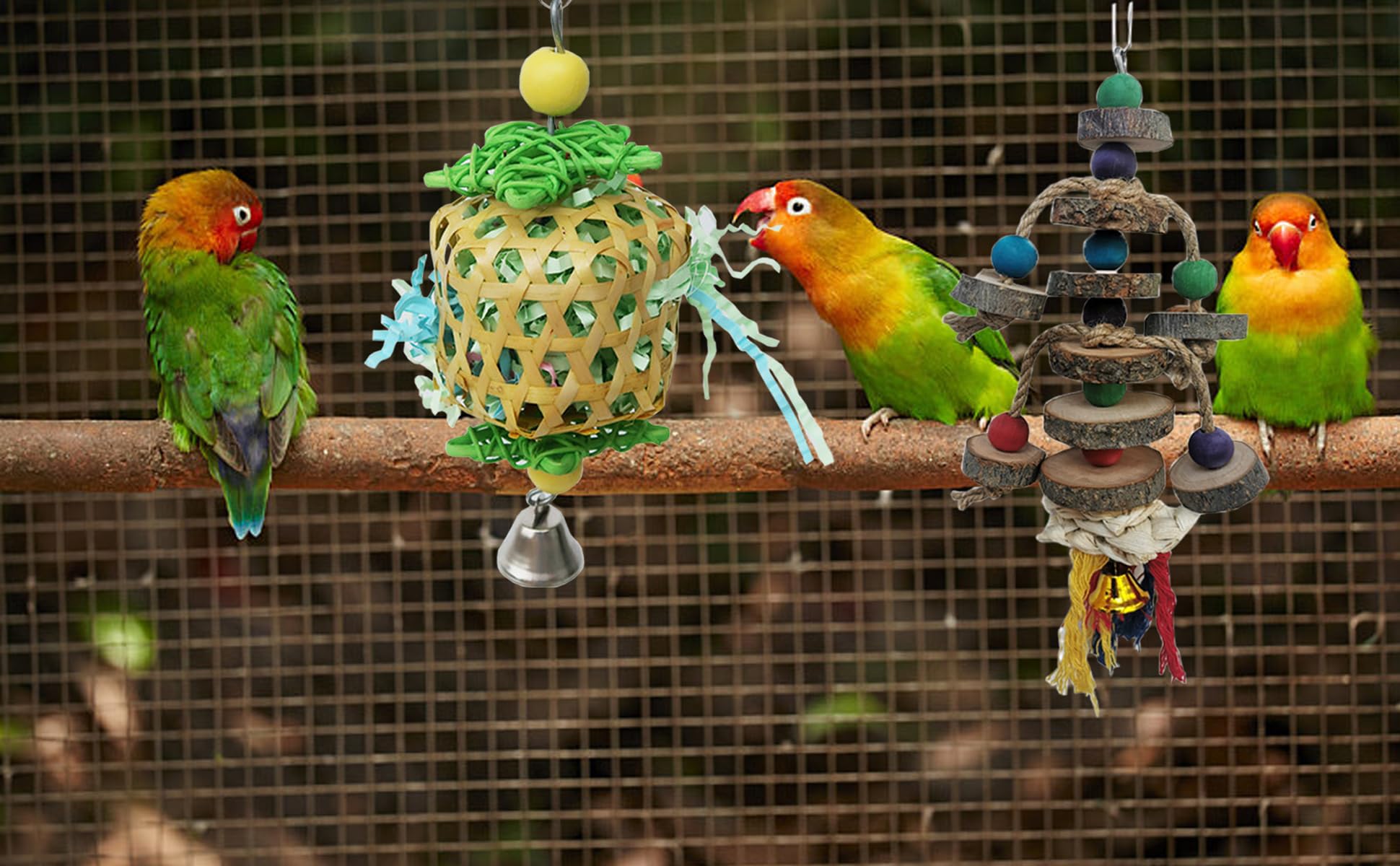 Jouet TANOMA pour conure, pour-forage, stimule l’exploration naturelle.