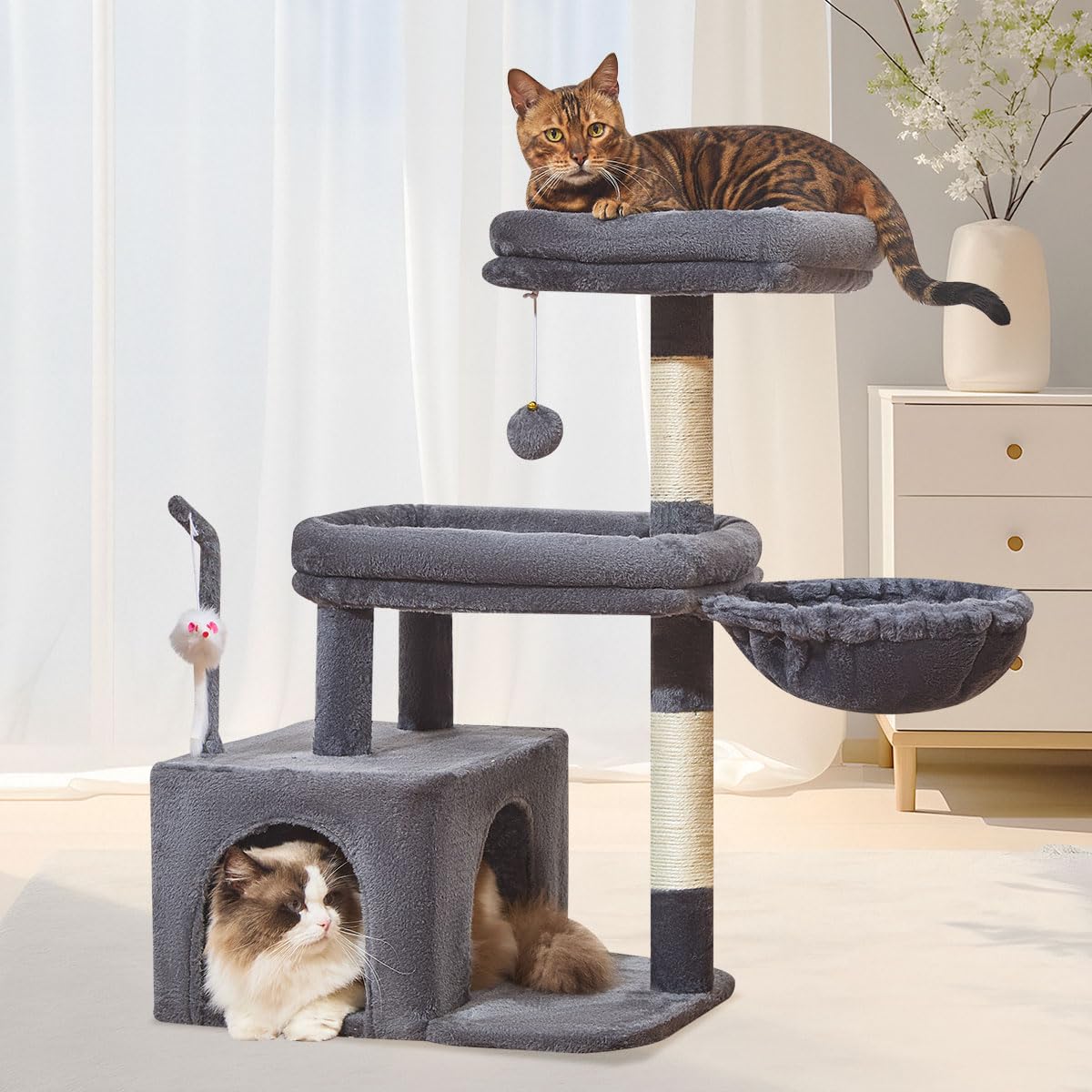 Taoqimiao MS043G — Base stable et large, idéale pour chats actifs.