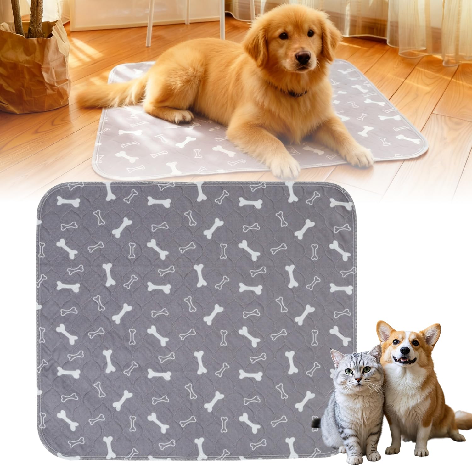 Tapis d'entraînement chiots imperméables protégeant sols et meubles.