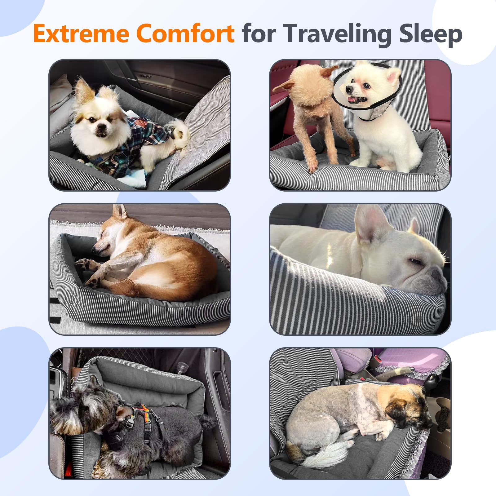 Tapizado Siège Voiture Chien Petit: sangle réglable pour une fixation sûre