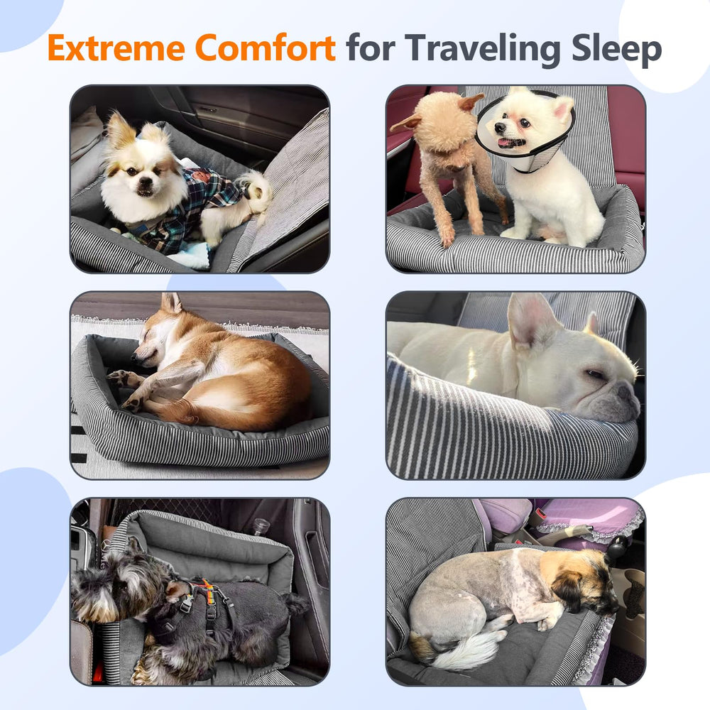 Tapizado Siège Voiture Chien Petit: sangle réglable pour une fixation sûre