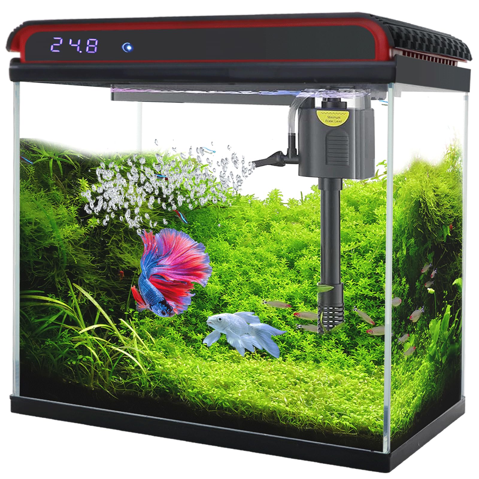 Tararium aquarium 75 L avec verre ultra-transparent pour une observation nette.