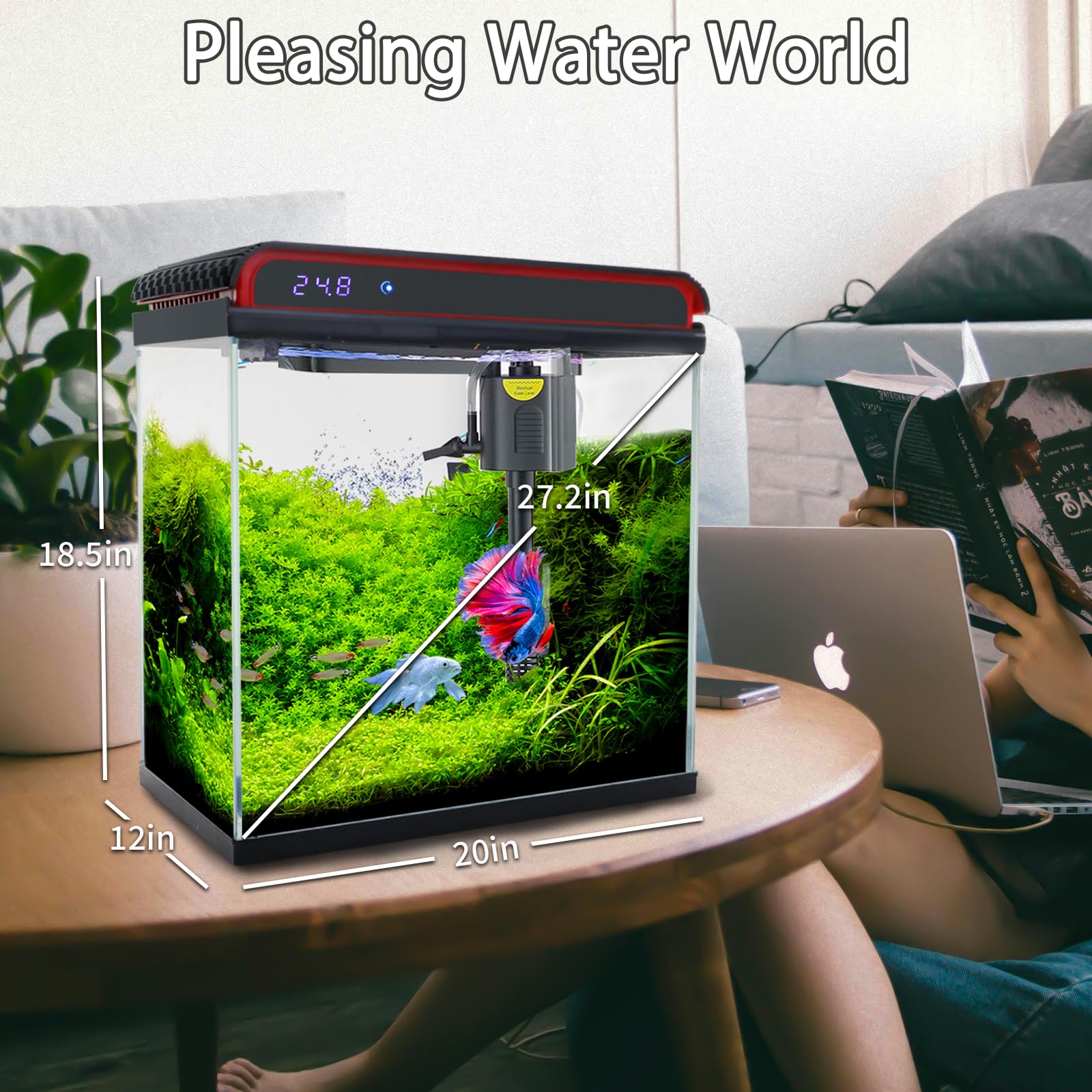 Tararium montage simple pour démarrer rapidement votre aquarium.