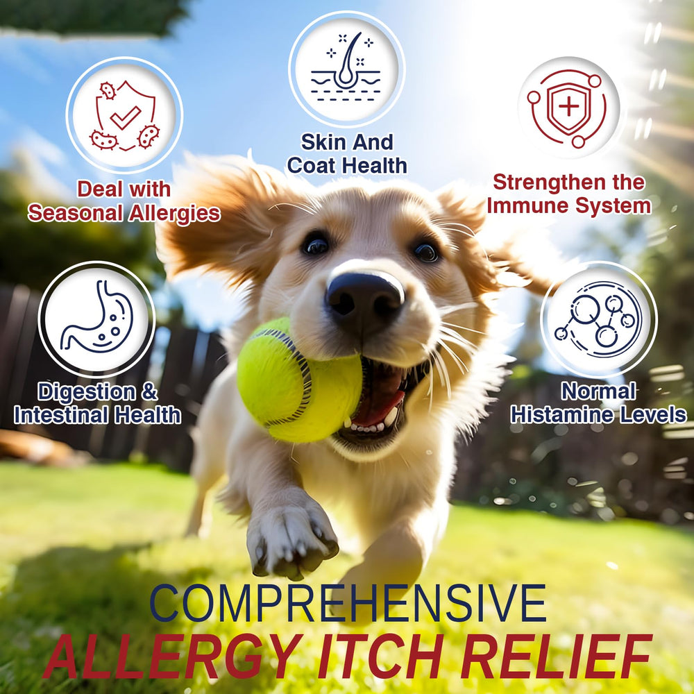 Taraxa bouchées allergie chien dose quotidienne, aide potentielle à soulager démangeaisons.