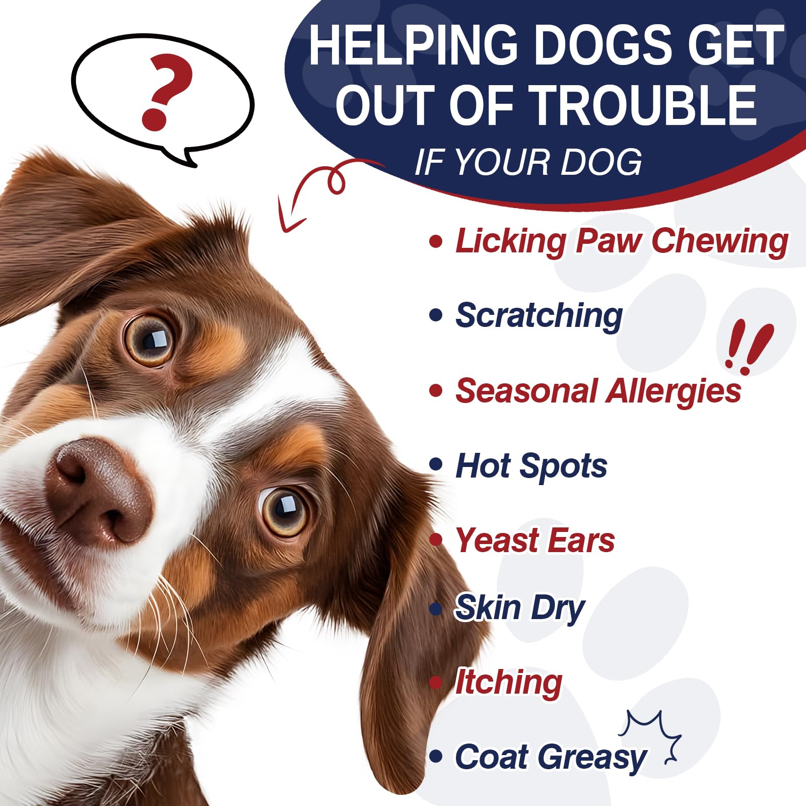 Taraxa bouchées allergie chien ingrédients omega-3 et quercetine pour peau saine.