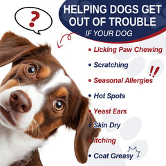 Taraxa bouchées allergie chien ingrédients omega-3 et quercetine pour peau saine.