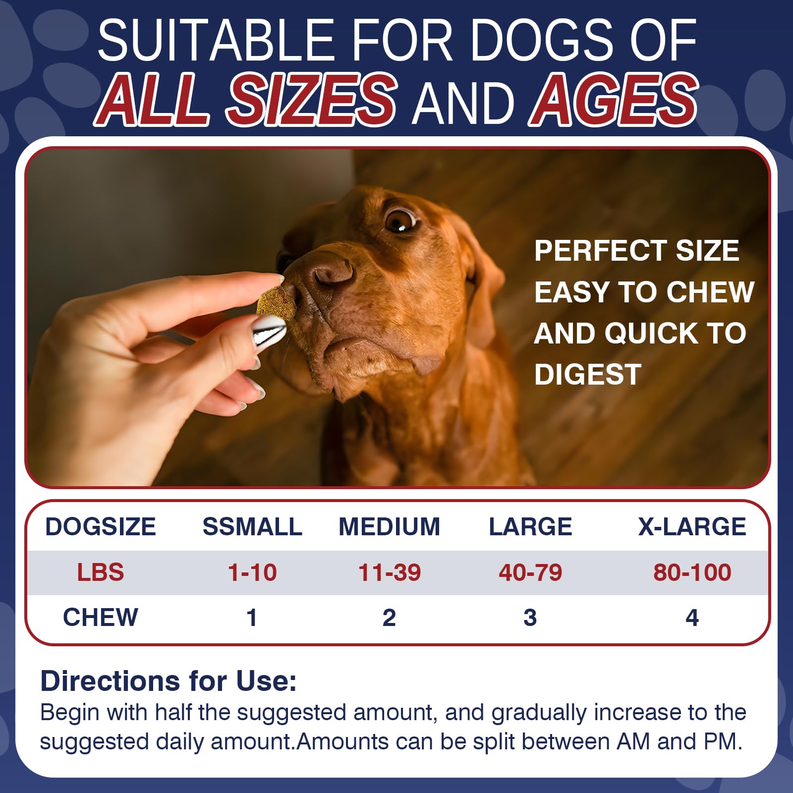 Taraxa Chien Allergie — bol pour récompenser pendant la promenade.