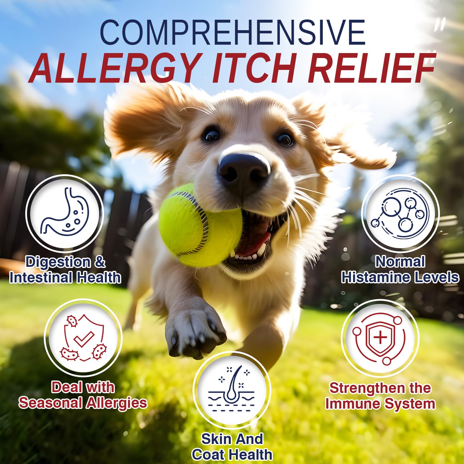 Taraxa Chien Allergie — texture tendre pour une mastication facile.