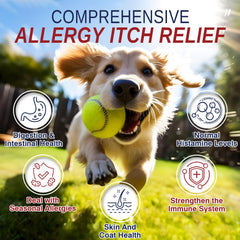 Taraxa friandises allergie chien zoom sur bouchées appétentes facilitant l administration.