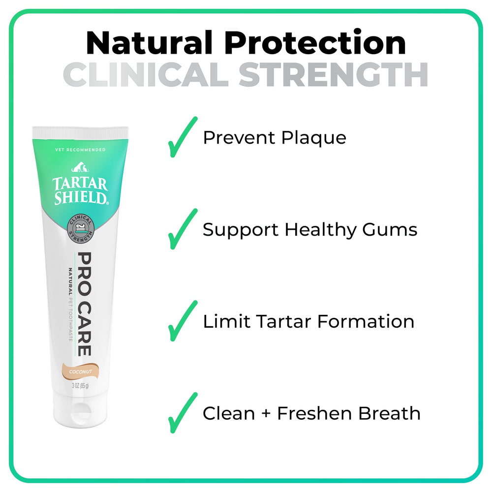 Brossage quotidien avec Tartar Shield Pro Care pour dents propres.