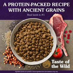 Taste of the Wild Ancient Mountain super-aliments et oméga pour peau et pelage