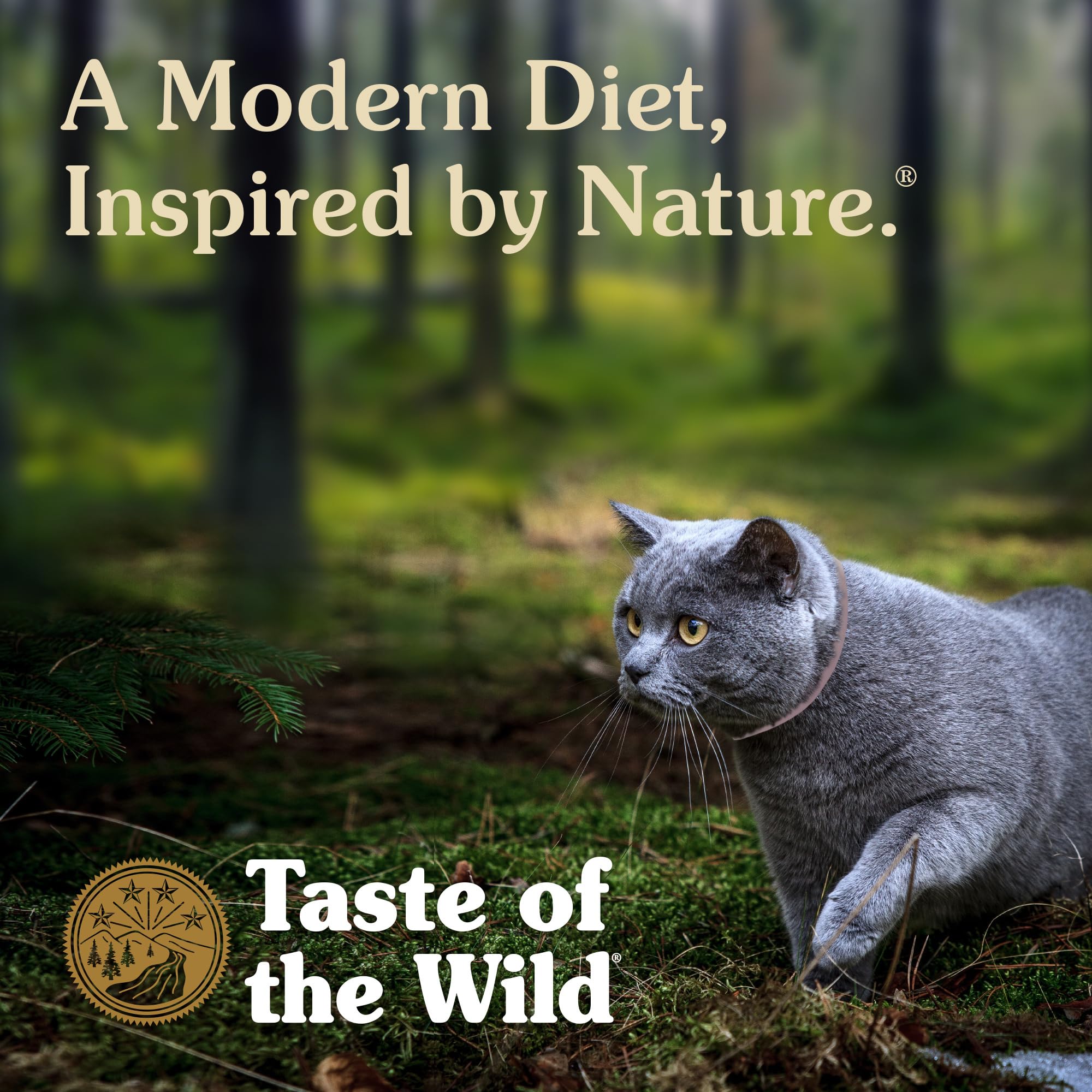 Taste of the Wild Lowland Creek – prébiotiques et antioxydants soutenant vitalité.